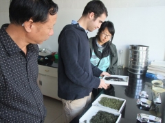 　更香茶香引来浙江树人大学美籍留学生