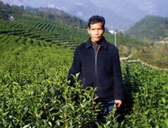 厚积薄发的李云登