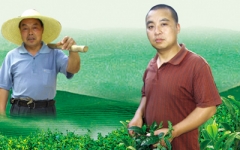 一片茶山，两代茶农